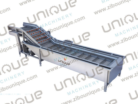Industriële bubbelwasmachine voor fruit en groenten voor citroen Ananas Passiefruit