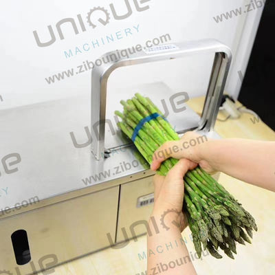 Plastic Multi-purpose Draagbare Groenteband Bindend Wrapping Bundeling Banding Strapping Machine