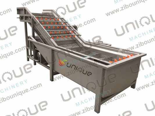 Industriële bubbelwasmachine voor fruit en groenten voor citroen Ananas Passiefruit