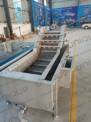 Industriële bubbelwasmachine voor fruit en groenten voor citroen Ananas Passiefruit