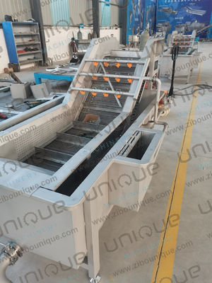 Industriële bubbelwasmachine voor fruit en groenten voor citroen Ananas Passiefruit