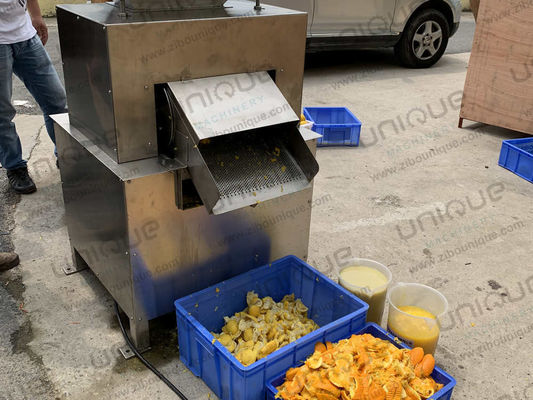 Fruit Pulping Pulpy Mango Juice Maker Juicemachine Verwerkingsmachine