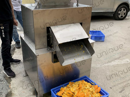 Fruit Pulping Pulpy Mango Juice Maker Juicemachine Verwerkingsmachine