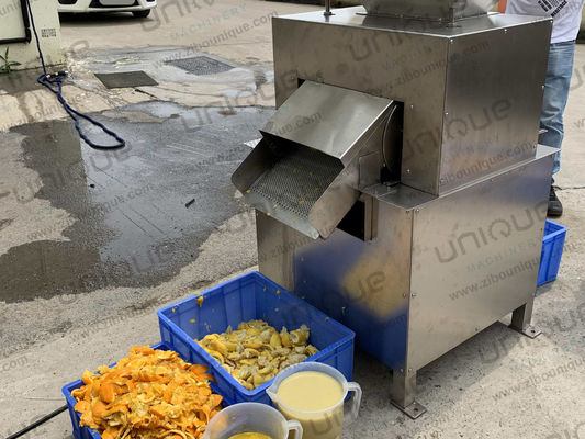 Fruit Pulping Pulpy Mango Juice Maker Juicemachine Verwerkingsmachine