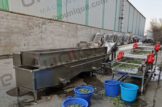 Ontwerp Alfalfa / Micro Greens groente bubbel wasmachine voor voedsel en drank winkels