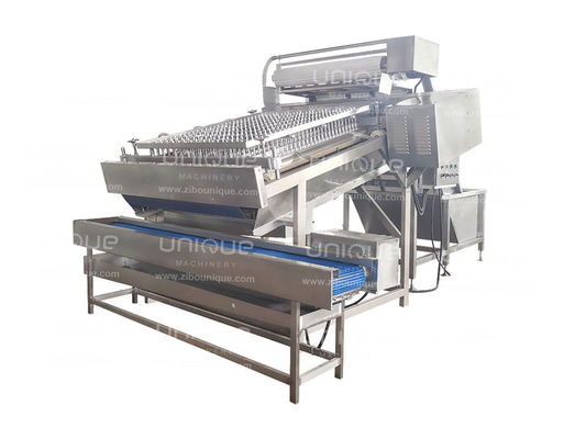 4kw automatische garnalen kop schelp verwijderen schilper machine transformeren voedsel dranken winkels