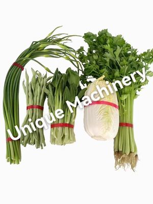 Kleinhandel Groentenseldery Yardlong bean multi-purpose band binding bundeling machine wrappers