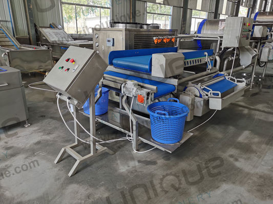 Saladblaadgroenten verwerkingslijn Neem uw saladeproductie naar het volgende niveau