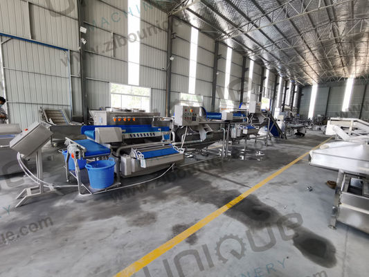 Restaurant en voedselverwerkende industrie Wasmachine Bladergroenten Baby Spinazie Salade Groenten