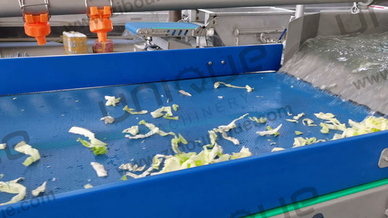 Saladblaadgroenten verwerkingslijn Neem uw saladeproductie naar het volgende niveau