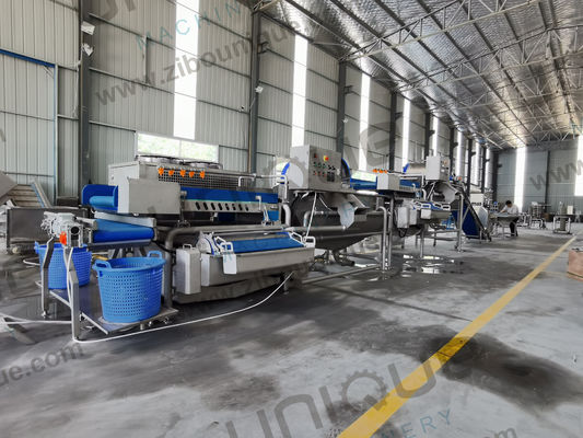 Restaurant en voedselverwerkende industrie Wasmachine Bladergroenten Baby Spinazie Salade Groenten