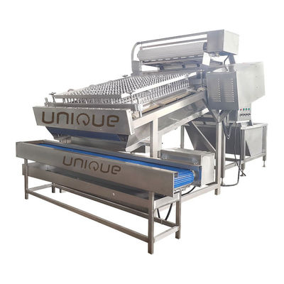 300 kg/uur capaciteit Garnalenvelpelmachine met het meest geavanceerde reinigingssysteem