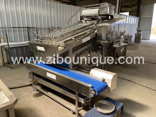 300 kg/h garnalen schilmachine garnalen schil oplossing reinigingsmachine