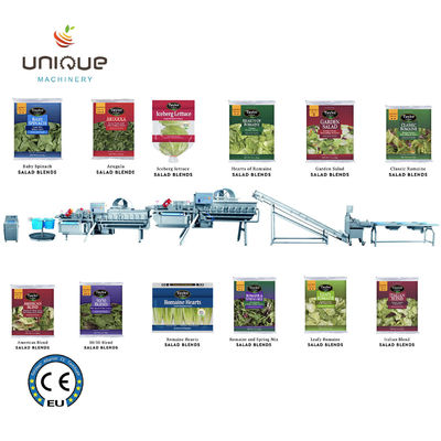 Fruit and Vegetables Groente-salade waslijn met 5000 KG verwerkingsefficiëntie