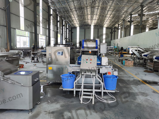 Saladverwerking makkelijk gemaakt Groentenwasmachine voor baby Spinazie Salad kool