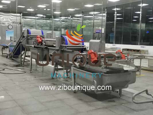 Fruit and Vegetables Groente-salade waslijn met 5000 KG verwerkingsefficiëntie