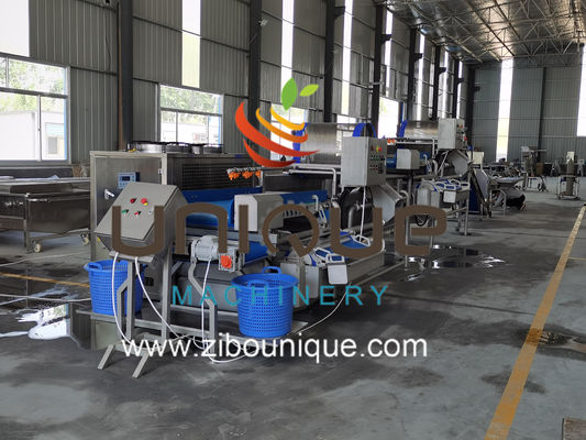 Commercieel gebruik Groene thee waslijn voor de verwerking van Myanmar-theebladeren uit Zibounique