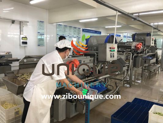 Commercieel gebruik Groene thee waslijn voor de verwerking van Myanmar-theebladeren uit Zibounique