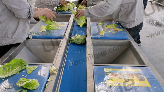 2021 Style Groente Fruit Helix Wasbewerkingslijn voor commerciële toepassingen