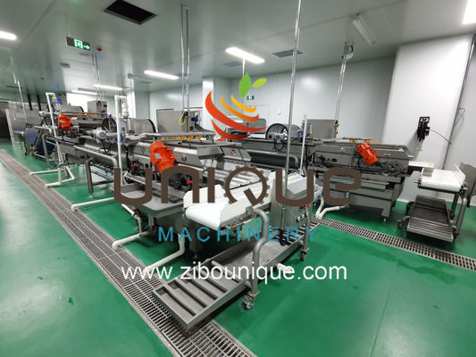Fruit and Vegetables Groente-salade waslijn met 5000 KG verwerkingsefficiëntie