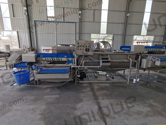 2200 KG Fruit and Vegetables Vacuum Packed Potato Processing Line voor nauwkeurig snijden