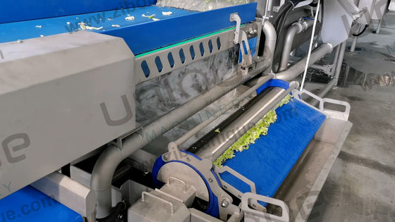 Groentenwasmachine 2200 kg voor bladgroentenknipper en commerciële fruitsalade