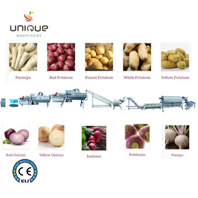 2200 KG Fruit and Vegetables Vacuum Packed Potato Processing Line voor nauwkeurig snijden