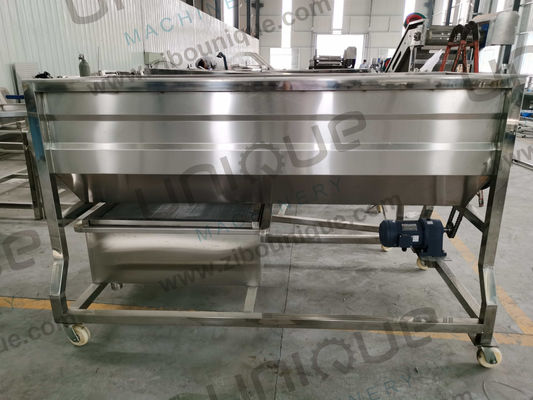 Advanced Dates Palm Processing Machine met automatische borstelreiniging en wassen