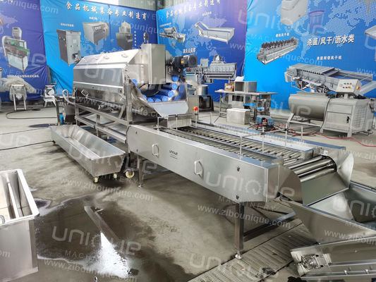 Grote capaciteit Continuous Brush Potato Peeling Machine Wortel wassen en polijsten machine