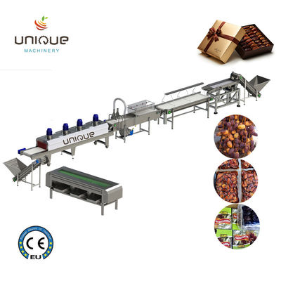 Roestvrij staal 304 Palm Reiniging Appelperen Dates Plum Process Wasmachine