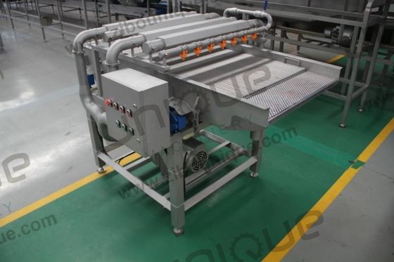 Op maat gemaakte spanningsdatumreinigingsmachine voor het wassen van pruimen en verse producten