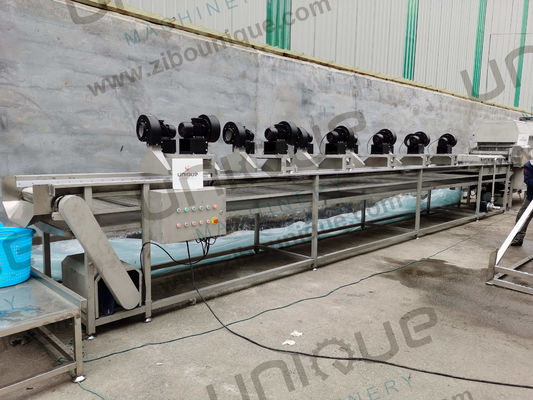 Roestvrij staal 304 Palm Reiniging Appelperen Dates Plum Process Wasmachine
