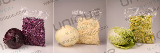 Zibo Unique Ozon Groente Helix Wasmachine met 2000 kg/uur Capaciteit en 4,5 kw