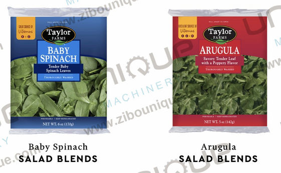 Zibo Unique Ozon Groente Helix Wasmachine met 2000 kg/uur Capaciteit en 4,5 kw