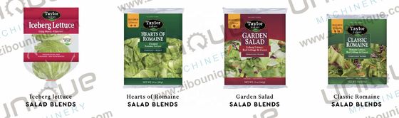 2000 kg/uur capaciteit Groenten en fruit, onderdompeling wasmachine voor grondig reinigen