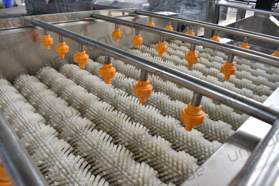 Functie Wassen van groenten en fruit Schelpwasmachine voor vis