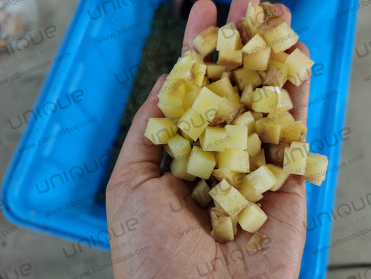 Jaar Aardappelsnijmachine Industriële groente snijmachine met aangepaste spanning