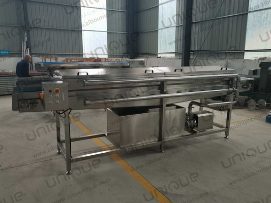 Aanpasbare spannings- en hogedrukwasmachine voor groenten en fruit