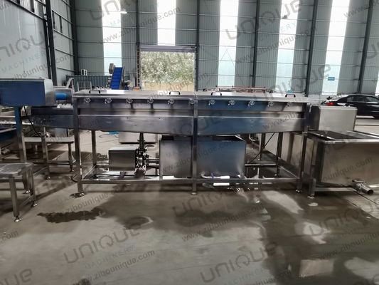 Aanpasbare spannings- en hogedrukwasmachine voor groenten en fruit