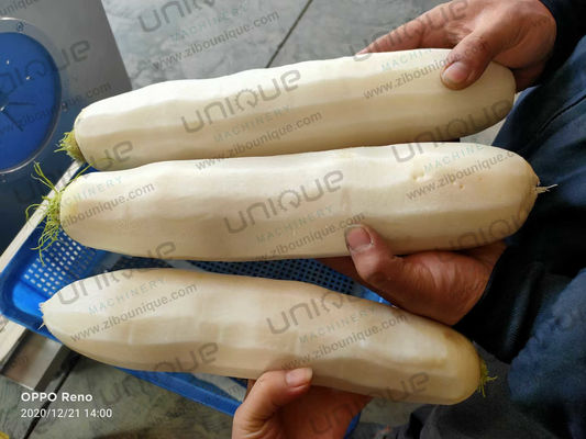 Krachtige roestvrij staal 304 Mooli Peeler Machine voor Kimchi Daikon verwerking behoeften