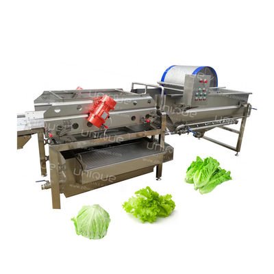 Industriële wasmachine voor groenten en fruit van roestvrij staal