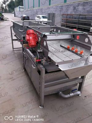 220v/ 380v/ Gepersonaliseerde Salad Helix Wasmachine voor Boerderijen Vers gesneden groenten