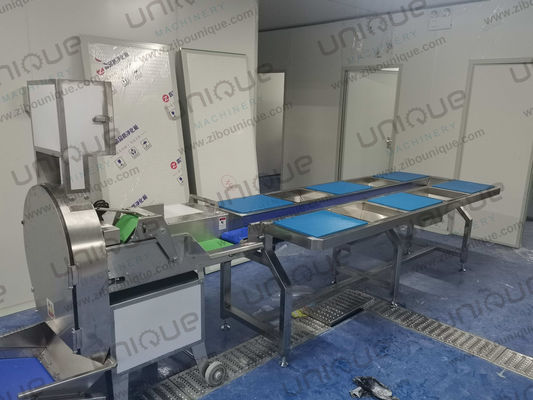 Groene uien en komkommers snijmachine met een groot voordeel