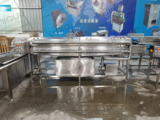 Hoogdruk Gember Kurkuma Taro Yam Malanga Sproeiende Wasmachine Voor Reiniging