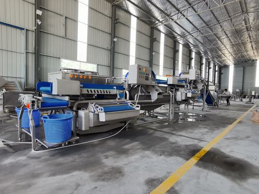 600-1500 kg/uur Vermogen Machine voor het snijden van bladgroenten