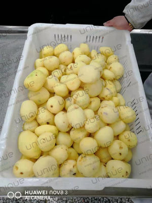 2022 Jaar Automatische was- en schilmachine voor aardappelen in het kleinschalige bedrijf