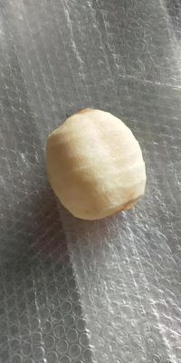 500 KG Volledig automatische industriële Fruit Apple Pear Kiwi Fruit Peeling en Coring Machine voor 2022