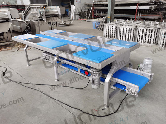 Tafel en vervoerbanden voor groentensortering en groentenbereiding van roestvrij staal 0,74 kW
