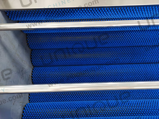 Commercieel gebruik Automatische Palm Dates Borstel Reinigingsmachine met Soft Brush Cleaner