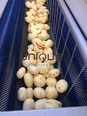 1.75 kw Gemakkelijke werking Gember Wortel Aardappelborstel Roller Wasmachine Wortel Groenten Wasmachine